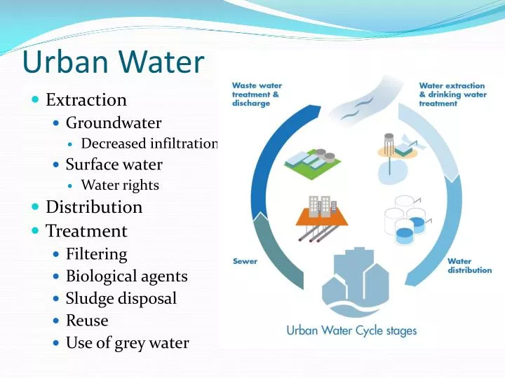 Ways BIM Transforms Urban Water Management for Sustainable City Planning